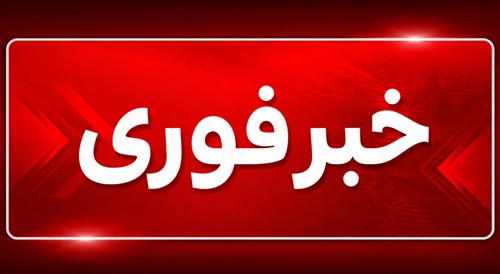 استفاده از سیستمهای هوش مصنوعی برای نظارت بر جمعیت زنبورهای عسل